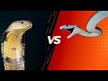 Venom battle pisode 2 mamba noir vs cobra royale