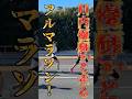 マラソン2時間20分切りを目指してみた#マラソン#フルマラソン