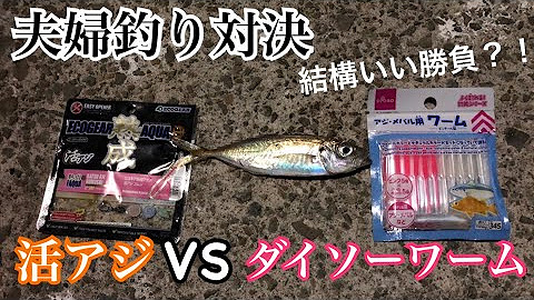 タビカツリチャンネル Youtube タビカツリチャンネル Youtube