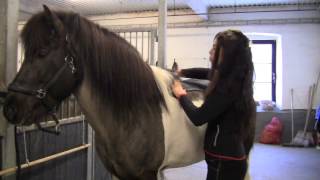 Top Reiter 'Soft-Balance' Gel-pad - Front-riser - Jessica Rydin screenshot 1