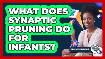 What Does Synaptic Pruning Do For Infants?