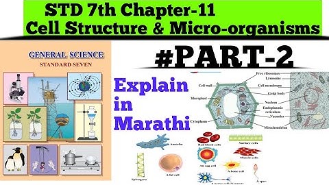 Std 7th | CH-11 | Cell Structure & Micro-organisms | Part-2 | explain in marathi |