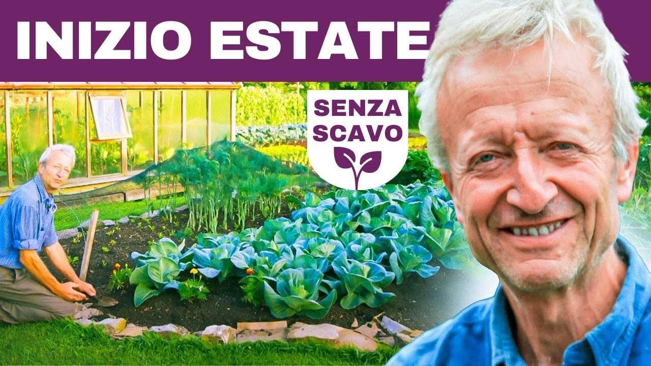 Domina il tuo Giardino in Estate: Dalle Erbacce alle Lumache, Tutto sotto Controllo
