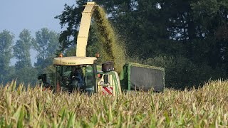 Chopping maize in Germany with Krone Big X 700 - LU Holthenrich - 2019