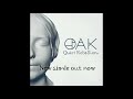 Quiet rebellion by oak karisma records single release promo