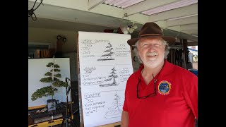 Three Ways of Drawing a Bonsai Tree