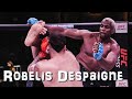 Robelis despaigne highlights  taekwondo olympian medalist joins the ufc