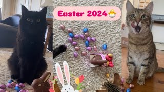 Our first Easter together 🐣