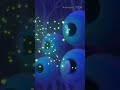 Inside your stomach during a food binge #animatedstem #science