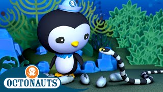 @Octonauts  The Slippery Sea Snakes  | Series 2 | Full Episode 2 | Cartoons for Kids