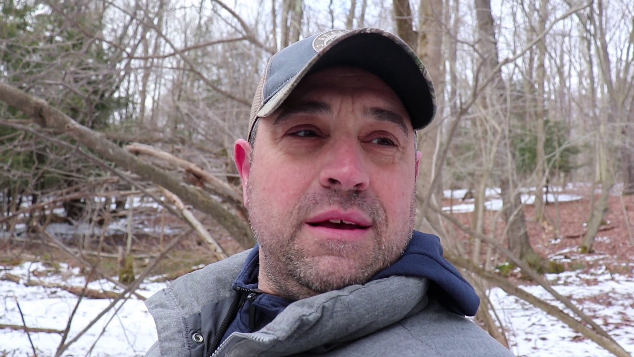 Public Schools and Indoctrination.