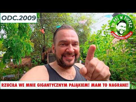 Rzuciła we mnie gigantycznym pająkiem! Nagrałem to! Zaskakująco dobry dzień. Odc.2009