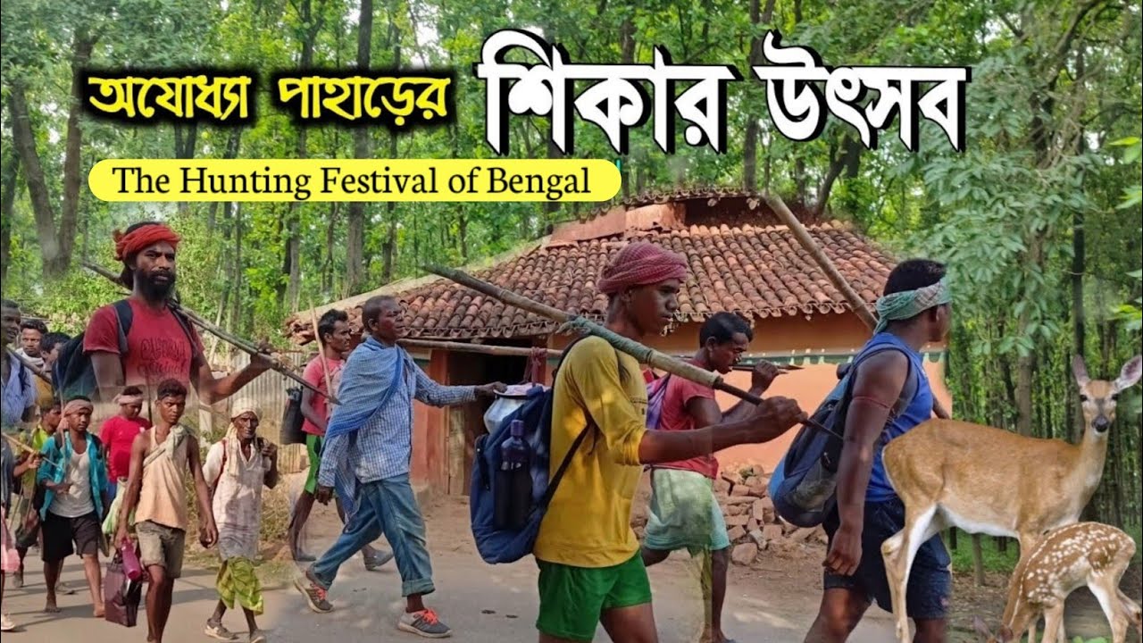 শিকার উৎসব || Shikar Utsab The Hunting Festival || Ajodhya Hill ! Ajodhya Buru Sendra Shikar