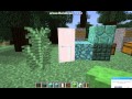 Soundwave84s review of minecraft 18