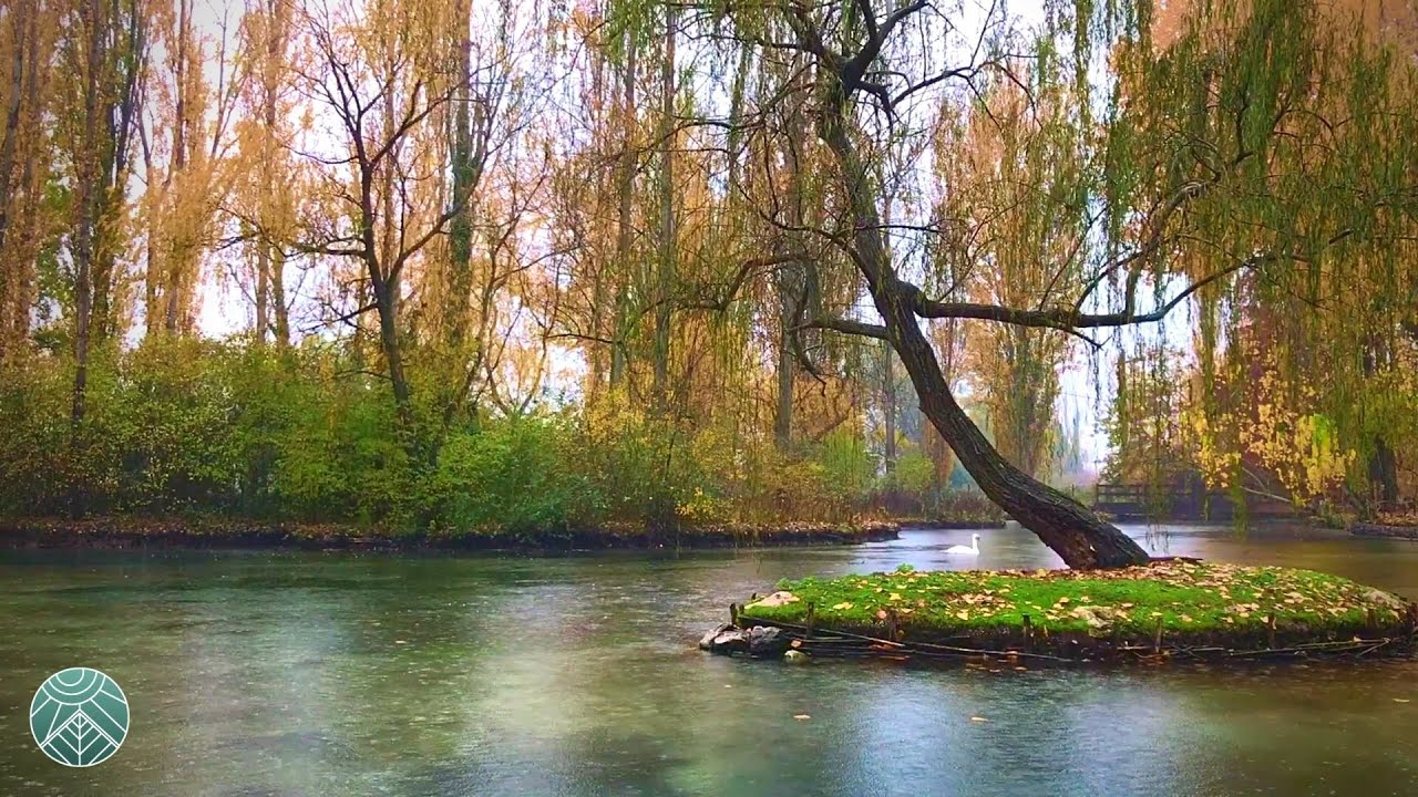 Soothing Rain Sound in Clitunno Springs ~ Umbria ASMR
