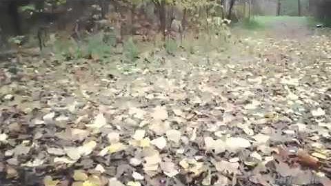 Traxxis & Horizon Hobby.... Short course truck