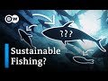 Sustainable Seafood Consumption Quiz