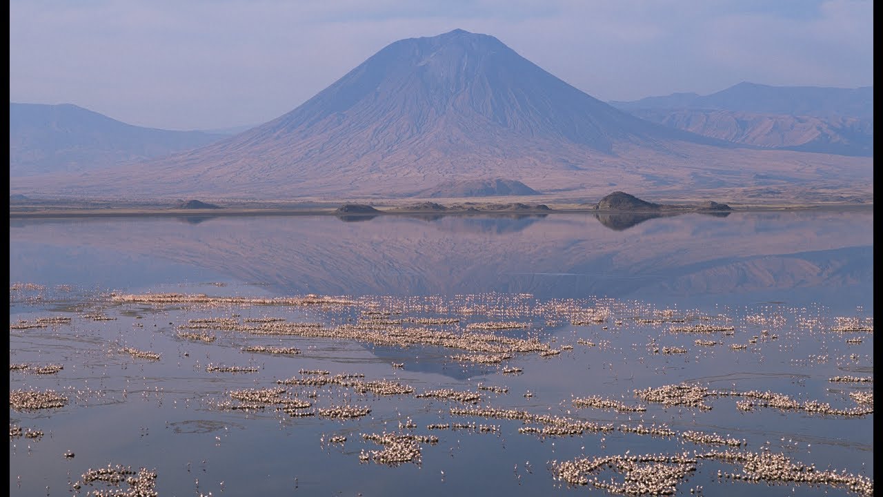 flamingo lake natron