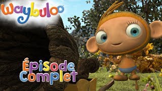 Waybuloo La Trompette Lourde Épisode Complet Zeekay Junior Français