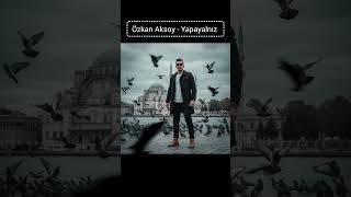 Özkan Aksoy - Yapayalnız 