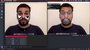 Openframeworks face tracking with FaceOSC and ofxOSC