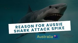 More Shark Attacks in Australia? Here’s What’s Causing It!  |  🇦🇺Australia