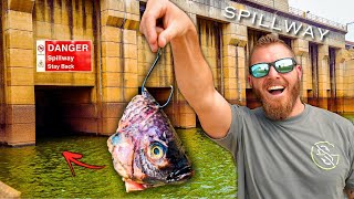 Fishing for Spillway MONSTERS!! **Catch Clean Cook w/ Neighbor Darrell**
