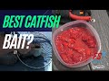 Fishing With Chicken Breast for Channel Catfish Part 1 (They love it)