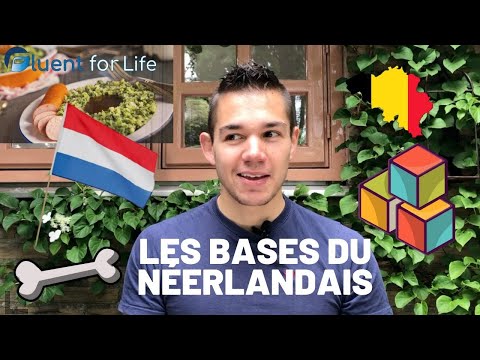Vidéo: Phrases de base en néerlandais à utiliser à Amsterdam