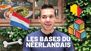 Apprendre le néerlandais  cours de néerlandais facile partie 1: les bases fondamentales