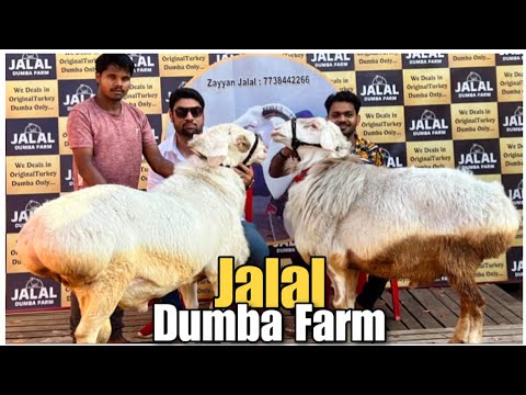 Faqat onlayn rus jinsiy aloqa