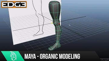 Maya Organic Modeling Tutorial - The Leg HD