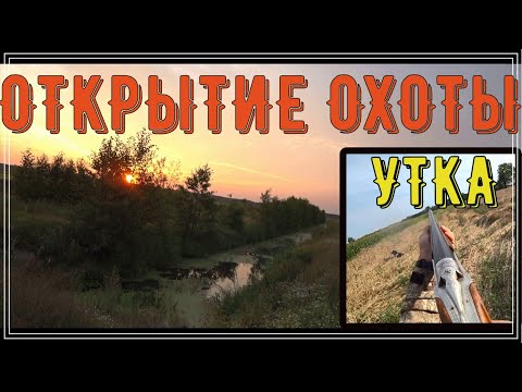 ОТКРЫТИЕ ОХОТЫ на УТКУ в БЕЛАРУСИ!! ТОЗ 34,МР 155 и спаниель БРИК!