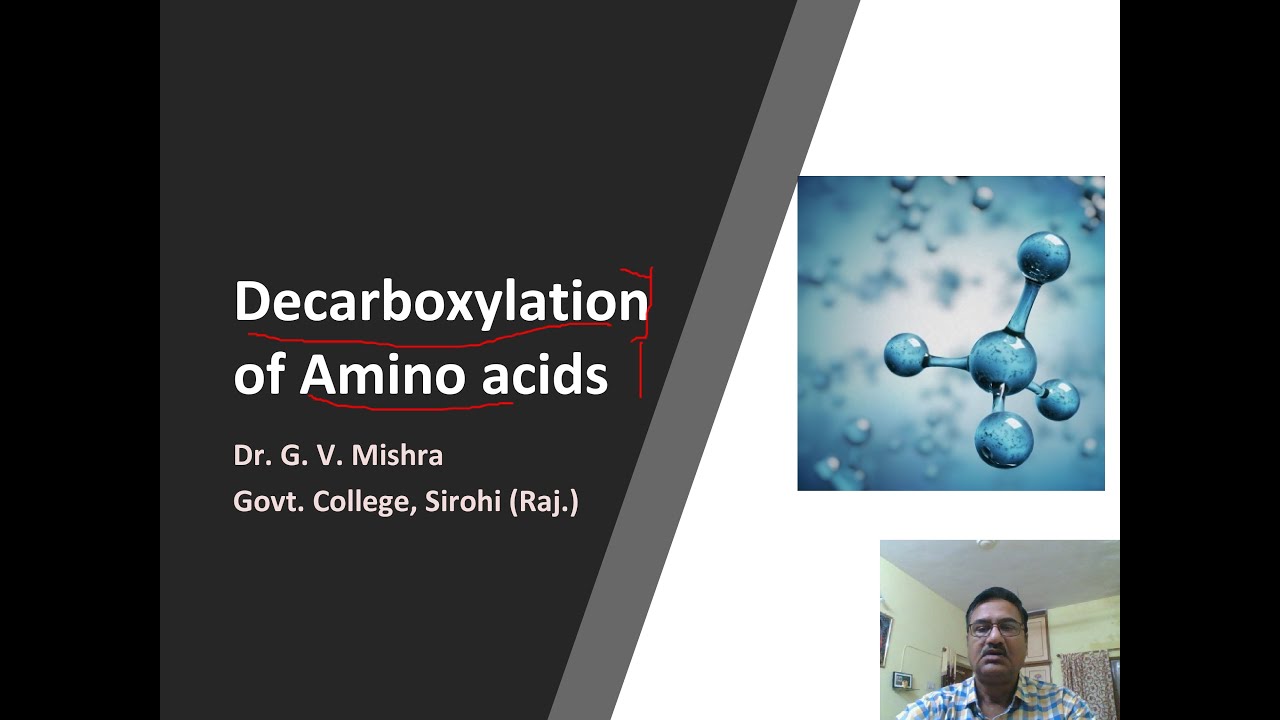 Decarboxylation of Amino acids YouTube