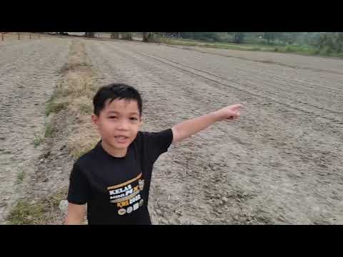 Pesta Meriam Talang