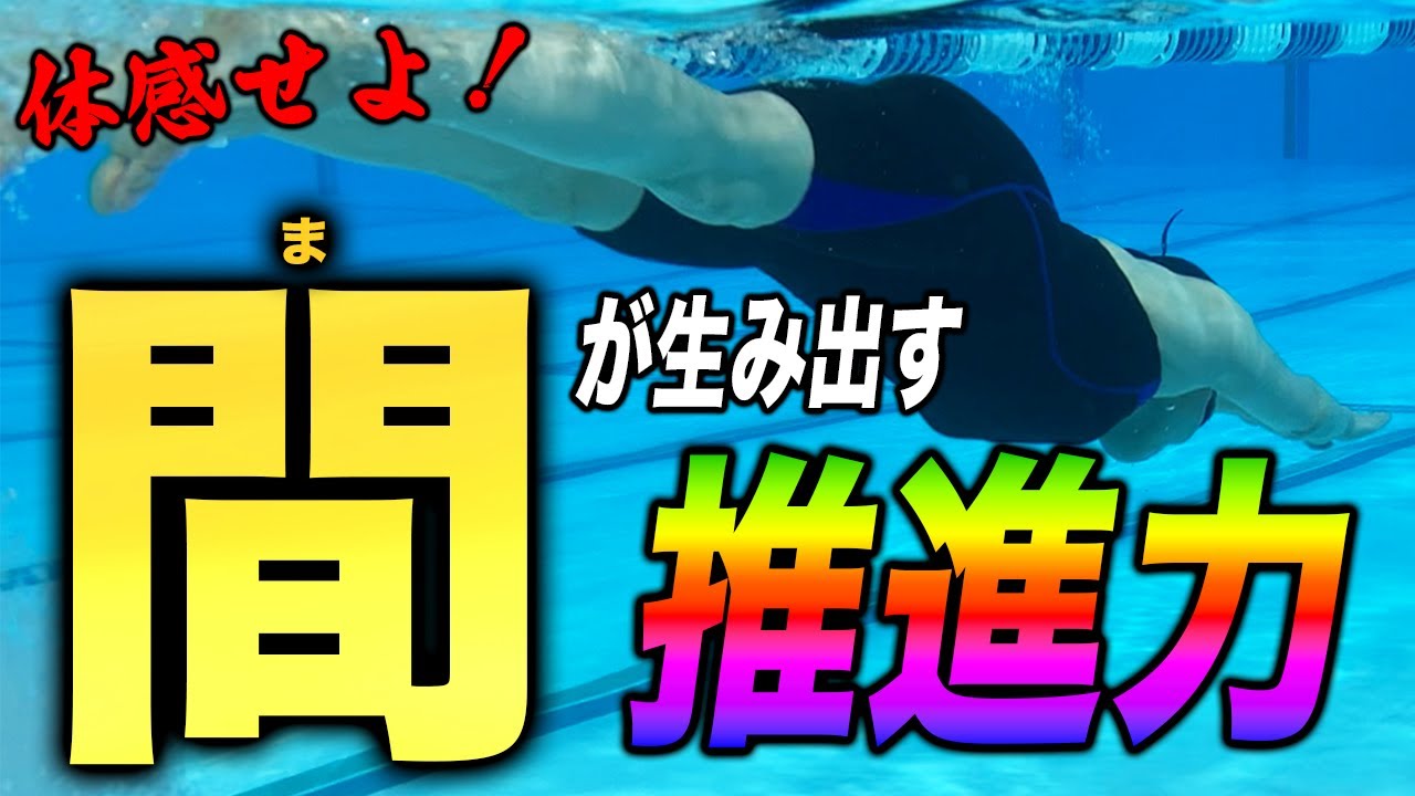 バタフライ・スピードアップ・プログラム バタフライ・スピードアップ・プログラム