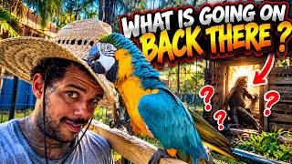 I Went to Check on the Animals… Then THIS Happened! 😳