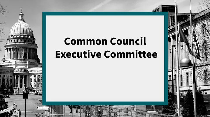 Common Council Executive Committee: Meeting of April 9, 2020