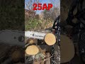 オレゴンNEWソーチェン80TXL!25AP VS 80TXL切り比べ#shorts
