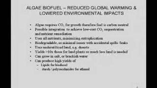 Biofuels: The Science of Creating Greener Energy - SPANISH