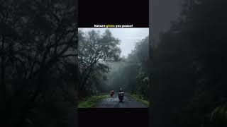 Zawanbeats Sub Original Odio Songs Video