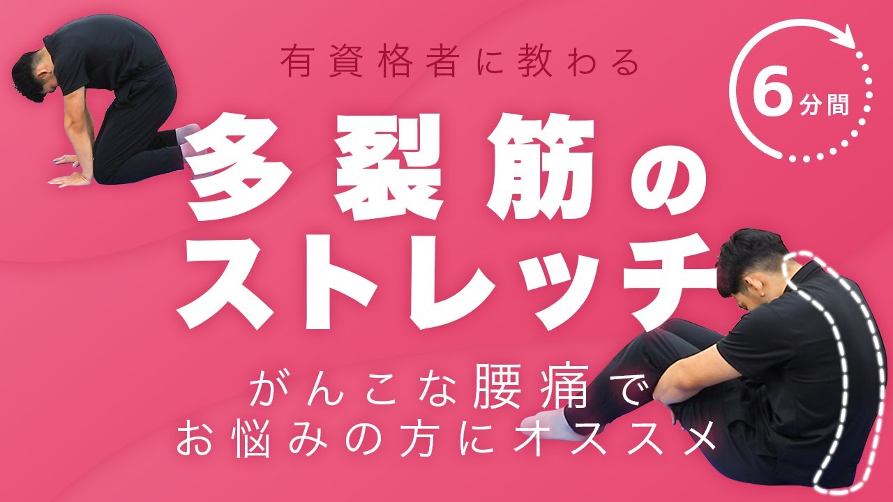 多裂筋のストレッチ｜がんこな腰痛でお悩みの方にオススメ！【6分間】