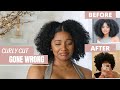 CURLY NATURAL HAIR CUT GONE WRONG | CAME FOR A TRIM, LEFT WITH A BIG CHOP!!  | TWO MONTHS POST-CUT