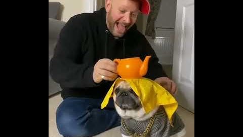 amazing   GIF   Imgur