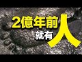 （更新）一名化石專家隨手敲開了一片化石，這一敲非同小可，直接敲鬆了進化論的根基。｜未解之謎｜探索與洞見