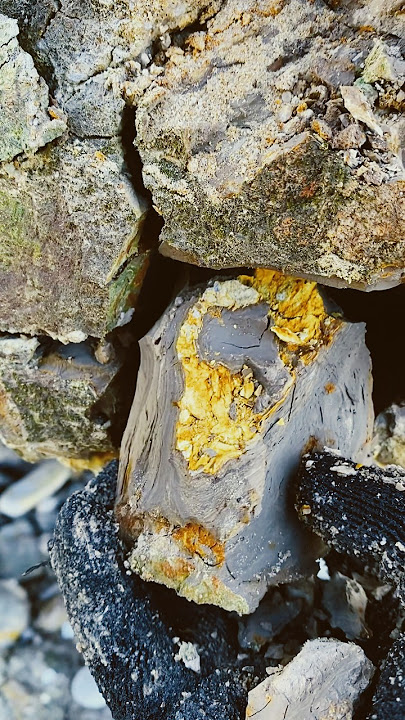 😱😱,‼️we made $100,000 on this piece of land