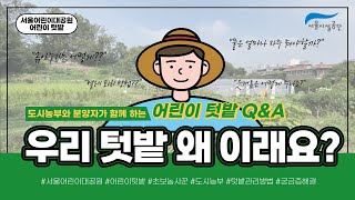 [서울어린이대공원] 어린이 가을 텃밭 체험교실 2 l 우리 텃밭 왜 이래요?(온라인 Q&A)썸네일