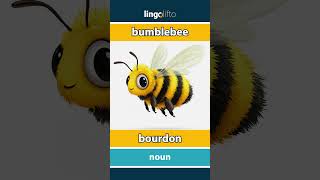 Bumblebee - Bourdon Learn English Apprenons Langlais Vocabulary Builder