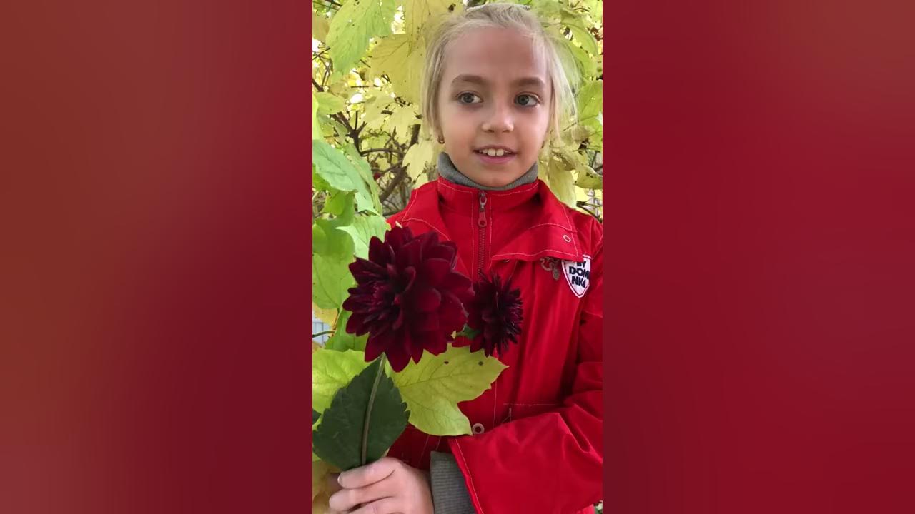 Алиева Алина художественная гимнастика