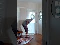 Golden retriever brings toys to home intruder